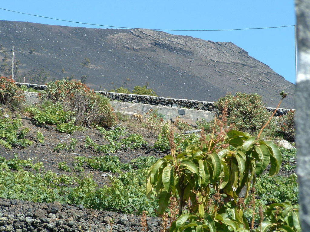 Casa Las Las Vinas Fuencaliente de la Palma Exterior foto